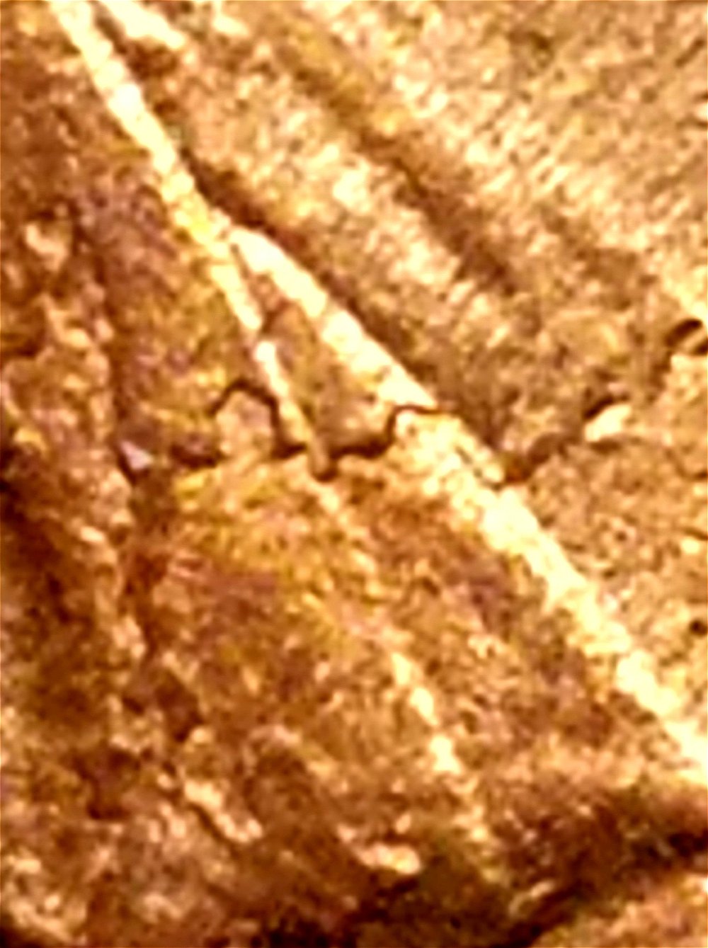 1992-P-Lincoln-Cent-Plating-Error-At-Face,-Beard,-Shirt-Collar-On-Obverse?